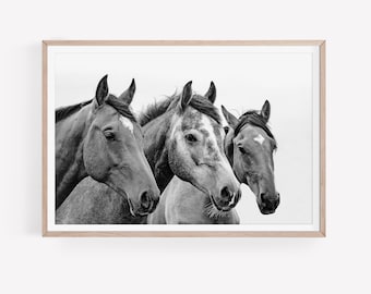 Horses Printable, Black and White Horse Wall Art Animal Photography Instant Download Horses Wall Decor