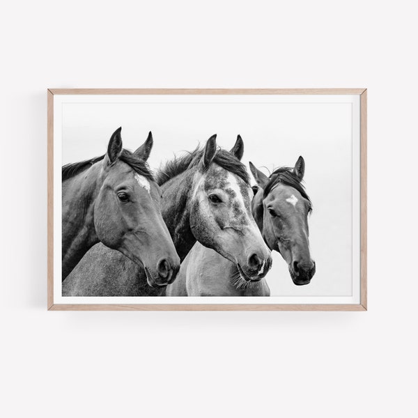 Horses Printable, Black and White Horse Wall Art Animal Photography Instant Download Horses Wall Decor