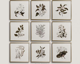 Neutral Botanical Prints Set: Vintage Floral Gallery Wall (Digital Download)