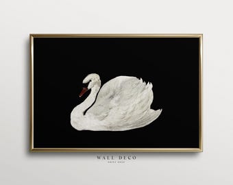 Vintage Swan Watercolor Art Print: Antique Farmhouse Decor (Digital Download)