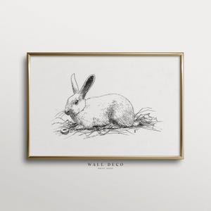 Vintage Kaninchen Zeichnung Druck, Tier Skizze, moderne Bauernhaus Kinderzimmer Wand Kunst, Ostern Digital druckbare Wand-Dekor