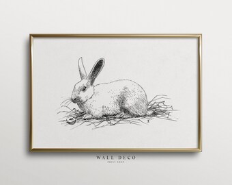 Vintage konijntekening: 18e-eeuwse dierenschets (digitaal afdrukbaar)
