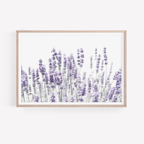 Lavender Print, Farmhouse Wall Art, DIGITAL DOWNLOAD, Botanical Print, Lavender Flowers Wall Art, Floral Wall Decor, Instant Download