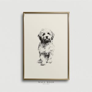 Puede incluir: Una impresión enmarcada con un boceto detallado en blanco y negro de un perro pequeño y esponjoso sentado. El perro tiene una expresión amigable. La impresión está sobre un fondo crema y enmarcada en un marco dorado. El texto "WALL DECO PRINT SHOP" está abajo.