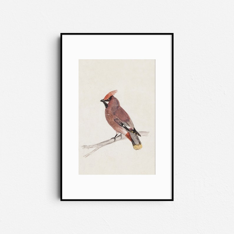 Vintage Bird Cardinal Watercolor Painting, Rustic Winter Bird Art Print, Antique Christmas Holiday Digital Printable Wall Decor image 8