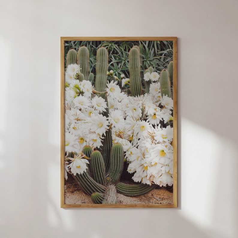 Cactus Print, Desert Cactus Wall Art, DIGITAL DOWNLOAD, Boho Wall Decor, Botanical Printable, Instant Download, Wall Art Print image 5