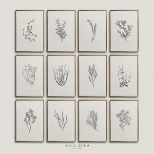 Vintage Botanical Gallery Wall Set of 12, Neutral Botanical Minimalist Sketch Art, Modern Farmhouse Digital Printable Wall Decor