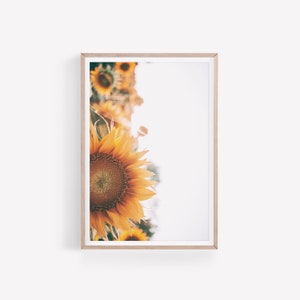 Sunflowers Print, Farmhouse Wall Art, DIGITAL DOWNLOAD, Kitchen Wall Decor, Floral Wall Art, Instant Download, Digital Printable Wall Art