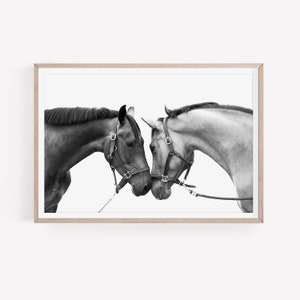 Horses Wall Art, Farm Animals Print, Horse Black and White Photography, Farmhouse Wall Art, Country House Wall Decor, Instant Download