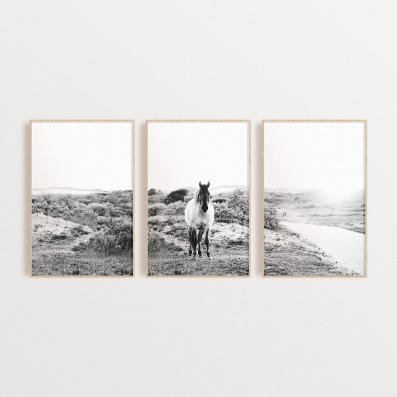 Set of 3 Black and White Horse Prints DIGITAL DOWNLOAD Set Etsy