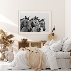 Horses Printable, Black and White Horse Wall Art Animal Photography ...