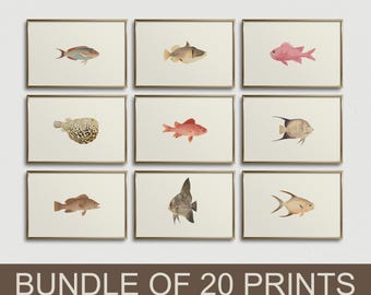 Vintage-Fischmotiv-Set mit 20 Drucken, nautische Wandkunst zum Ausdrucken, antike Meeresillustrationen, vielseitiges Bilderwand-Set
