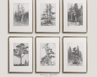 Vintage Bäume Skizze Drucke Set, rustikale Waldlandschaft Galerie Wandkunst (digitale druckbare Kunst)