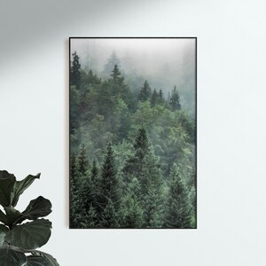 Set of 3 Forest Prints Pine Trees Wall Art Set of 3 Nature Photography ...