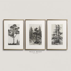Vintage Tree Sketch Prints Set: Rustic Forest Etching (Digital Download)