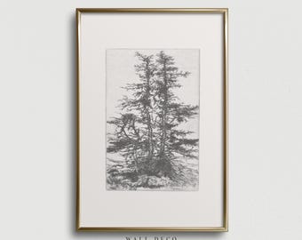 Vintage Kiefer Baum Skizze Druck, rustikalen Wald Radierung Zeichnung (digitaler Download)