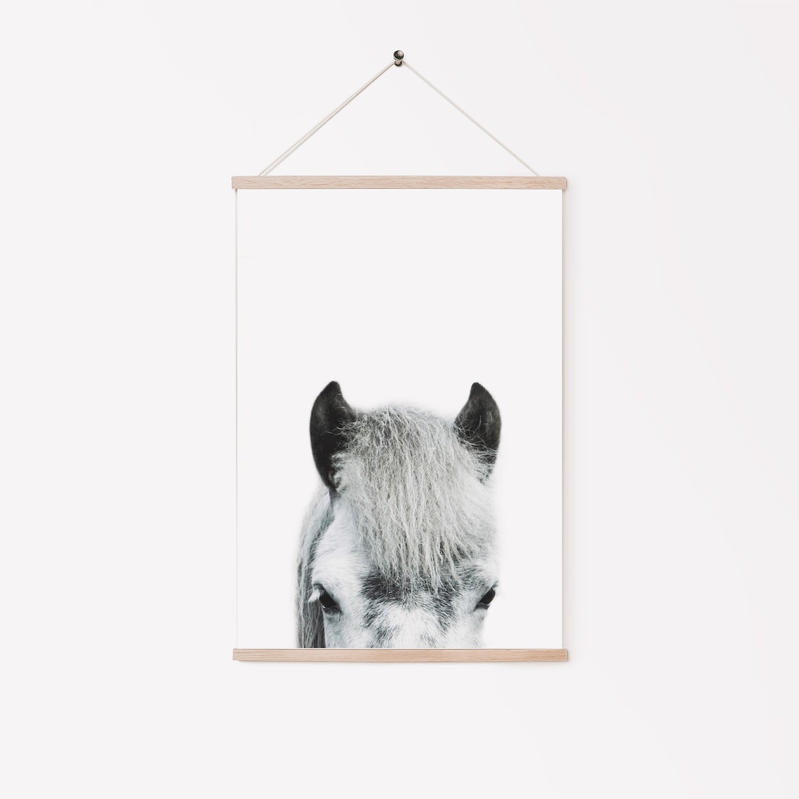 Horse Prints Set Set of 6 Horse Wall Art Horses Portraits Etsy Canada