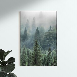 Set of 3 Forest Prints Pine Trees Wall Art Set of 3 Nature Photography ...