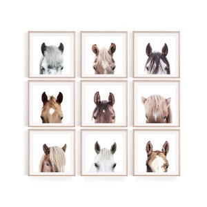 Square Horse Portrait Prints: Modern Farmhouse Gallery Set (Digital Download)