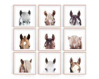 Square Horse Portrait Prints: Modern Farmhouse Gallery Set (Digital Download)