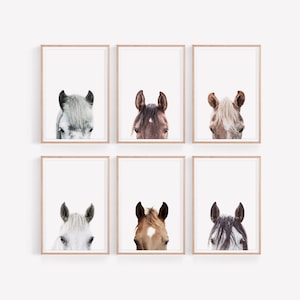 Set de 6 impresiones de caballos, arte mural de caballos, retratos de caballos, arte mural de granja, póster de animales de granja, set de retratos de animales, póster de caballos