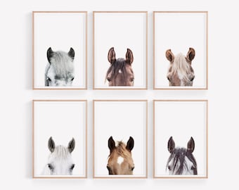 Horse Prints Set, Set of 6 Horse Wall Art, Horses Portraits, Farmhouse Wall Art, Farm Animals Poster, Animals Portraits Set, Horse Poster