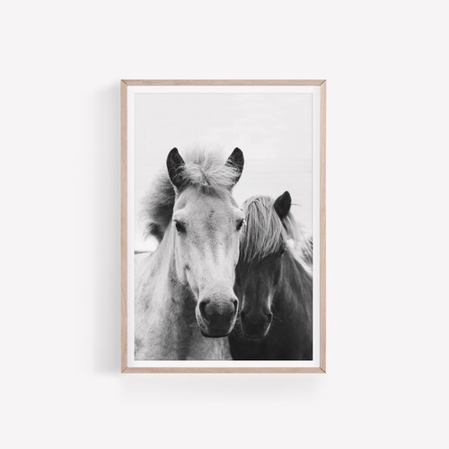 Black and White Horses Print Horse Portrait Wall Art DIGITAL - Etsy Canada Black and White Horses Print Horse Portrait Wall Art DIGITAL - Etsy Canada