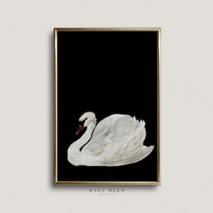 Vintage Swan Watercolor Print, Vintage Nursery Wall Decor, Digital PRINTABLE Wall Art, Antique Swan Painting, Farmhouse Nursery Art Print