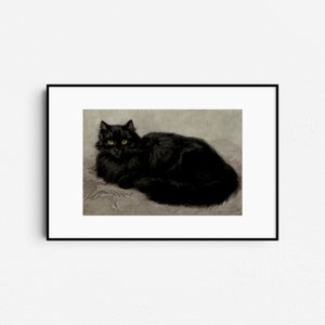 Pode incluir: Um gato persa preto com olhos amarelos est&aacute; deitado em uma superf&iacute;cie texturizada cinza claro. O gato est&aacute; olhando diretamente para o espectador.