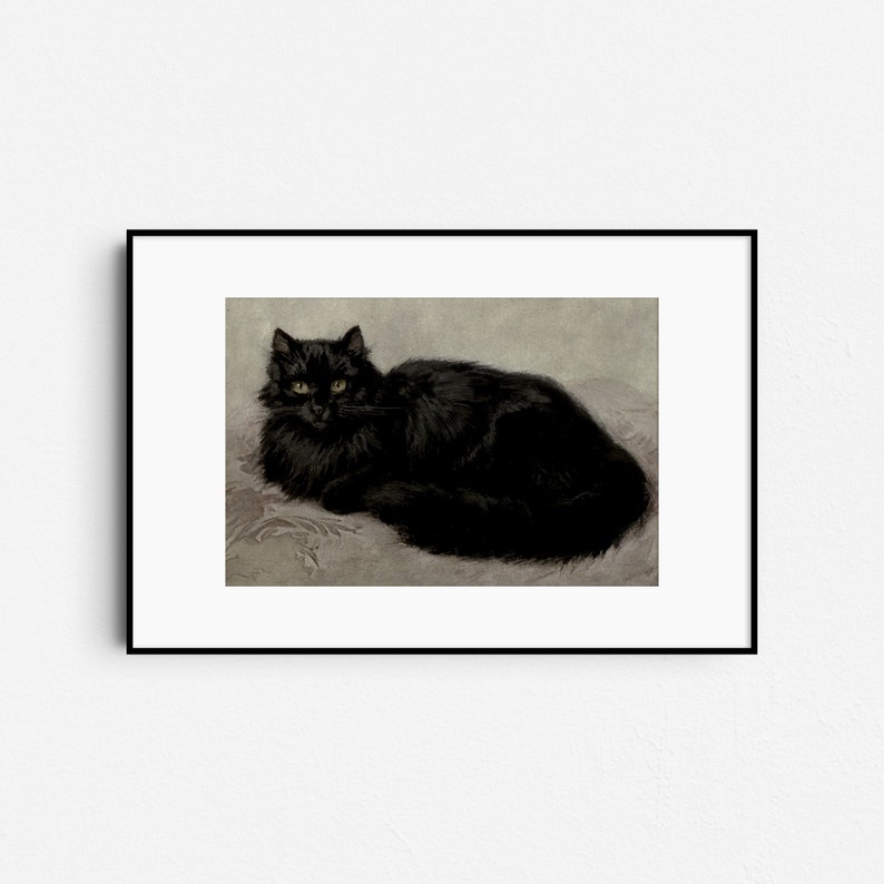 Pode incluir: Um gato persa preto com olhos amarelos est&aacute; deitado em uma superf&iacute;cie texturizada cinza claro. O gato est&aacute; olhando diretamente para o espectador.