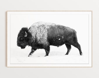 Black and White Buffalo Print, Bison Wall Art, DIGITAL DOWNLOAD, Wild Animal Wall Art, Instant Download, Digital Printable, Bison Poster