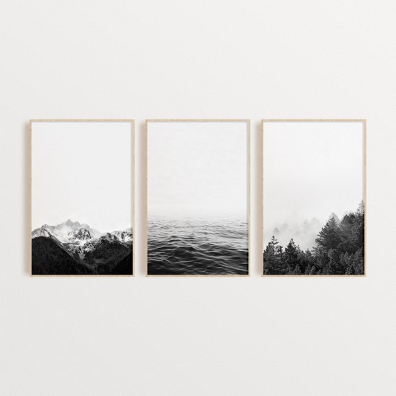 Black And White Nature Photography Wall Art - englshfla