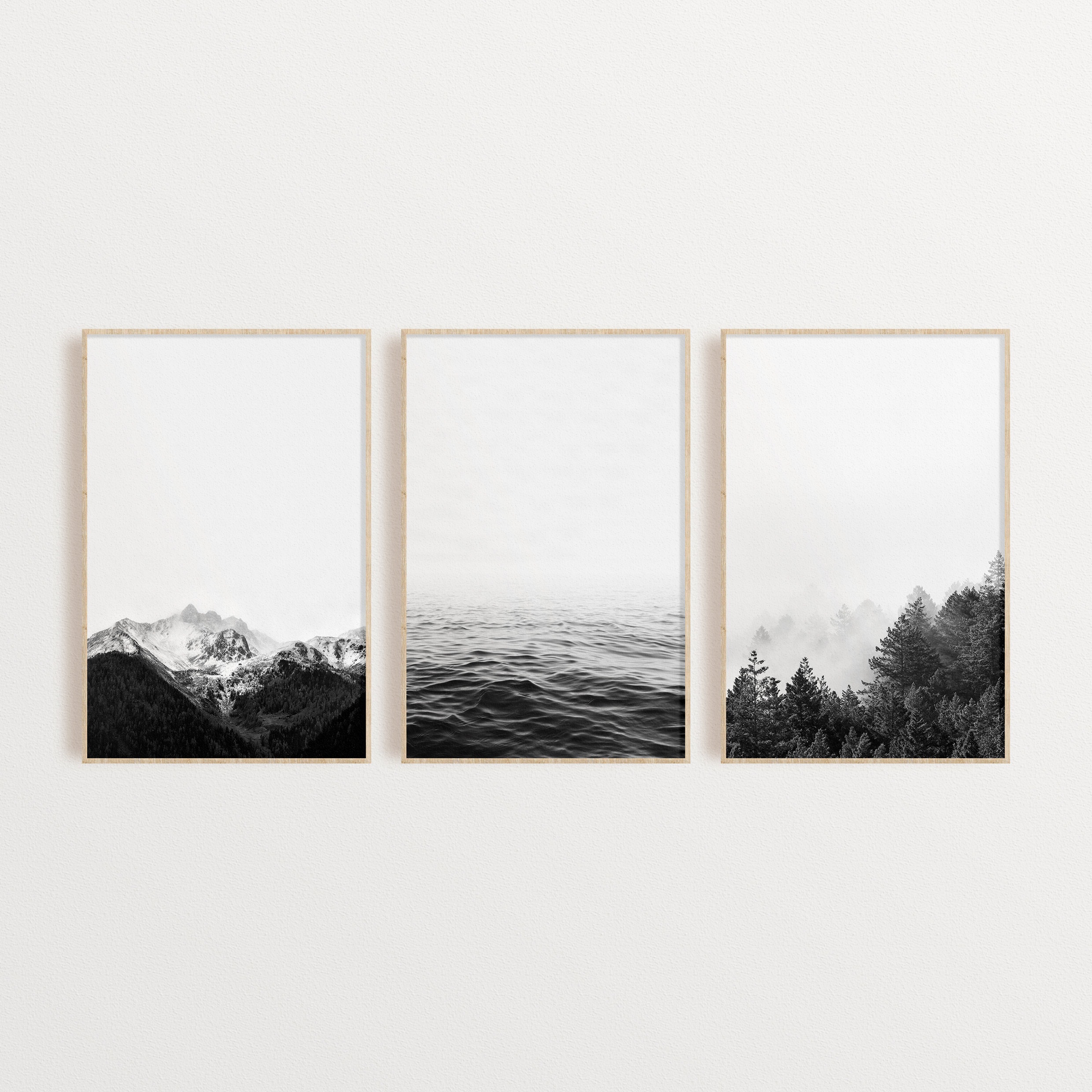 beruset Mechanics samle Set of 3 Black and White Nature Prints Set of 3 Wall Art | Etsy