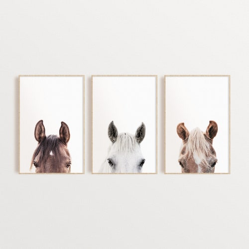 Horse Prints Set Set of 6 Horse Wall Art Horses Portraits Etsy