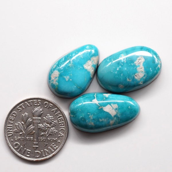 Natural Fox Turquoise Cabochon Lot