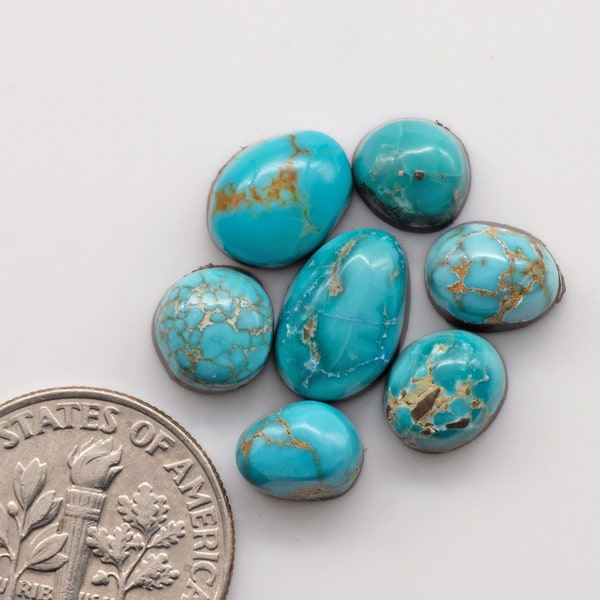 Carico Lake Turquoise Cabochon Lot