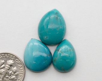 Kingman Turquoise