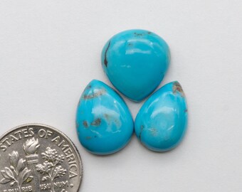 Kingman Turquoise