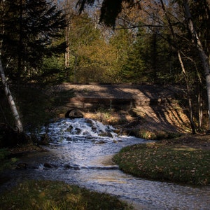Babbling Brook