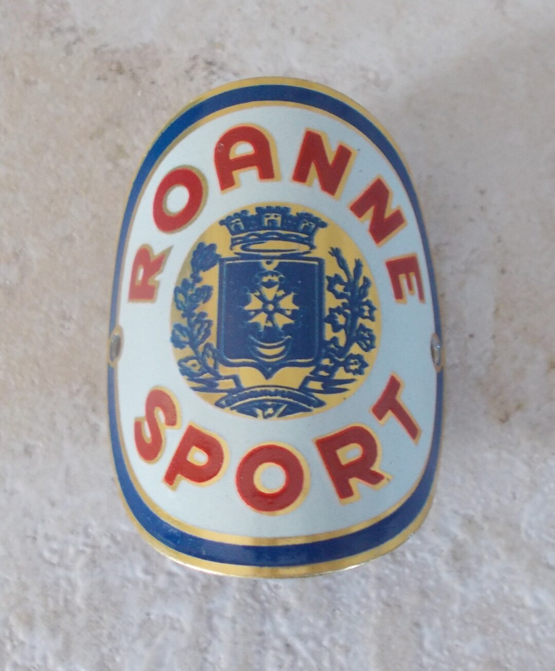 Plaque De Vélo Ancienne ROANNE SPORT - Headbadge Français Vintage Cyclisme #4