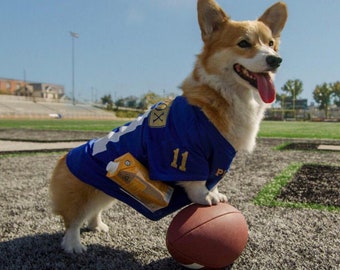 dog football jerseys personalized