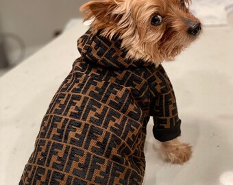 balenciaga dog sweater