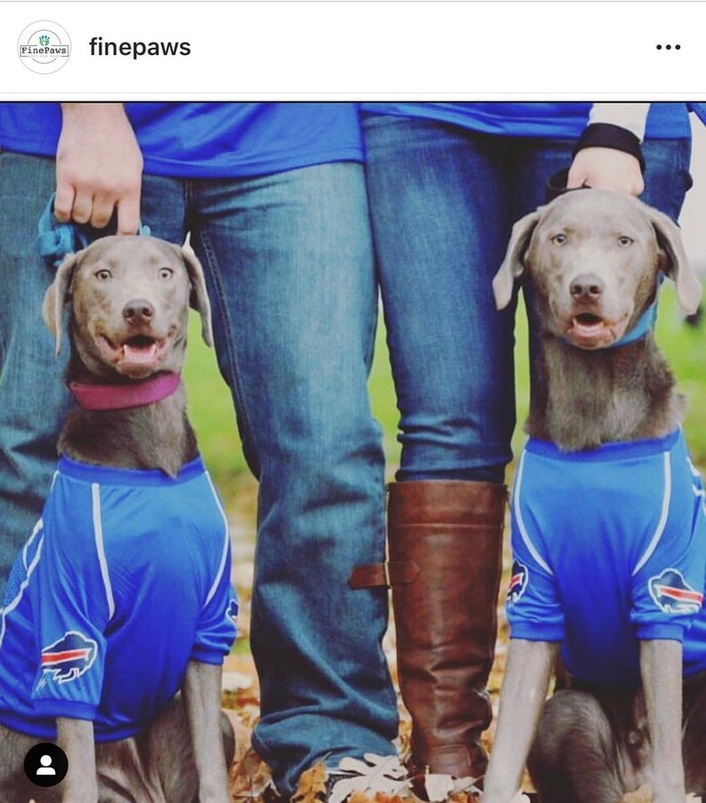 Custom large dog jersey Dog jersey Large dog shirt Etsy