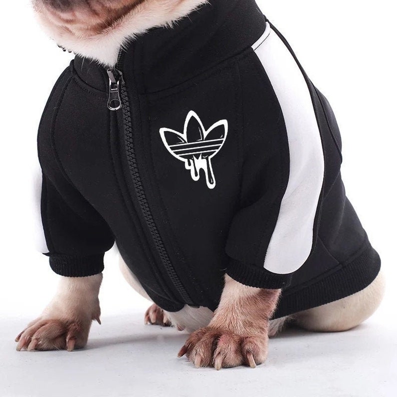 etsy custom dog sweaters