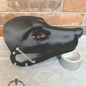 canine head base