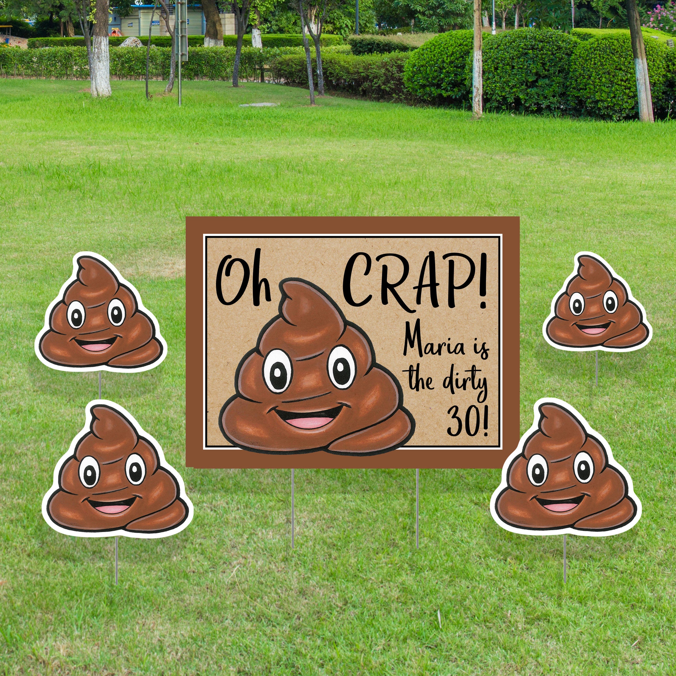 Funny Birthday Yard Sign, Custom Lawn Signs, Outdoor Party Decorations