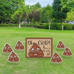 Funny Birthday Yard Sign, Custom Lawn Signs, Outdoor Party Decorations image 4