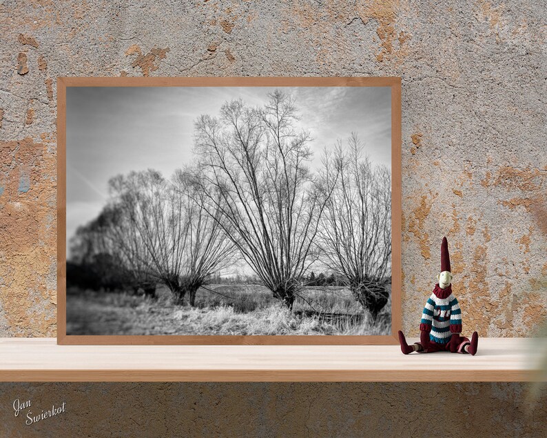 Black and White Nature Photography Digital Download Wall - Etsy