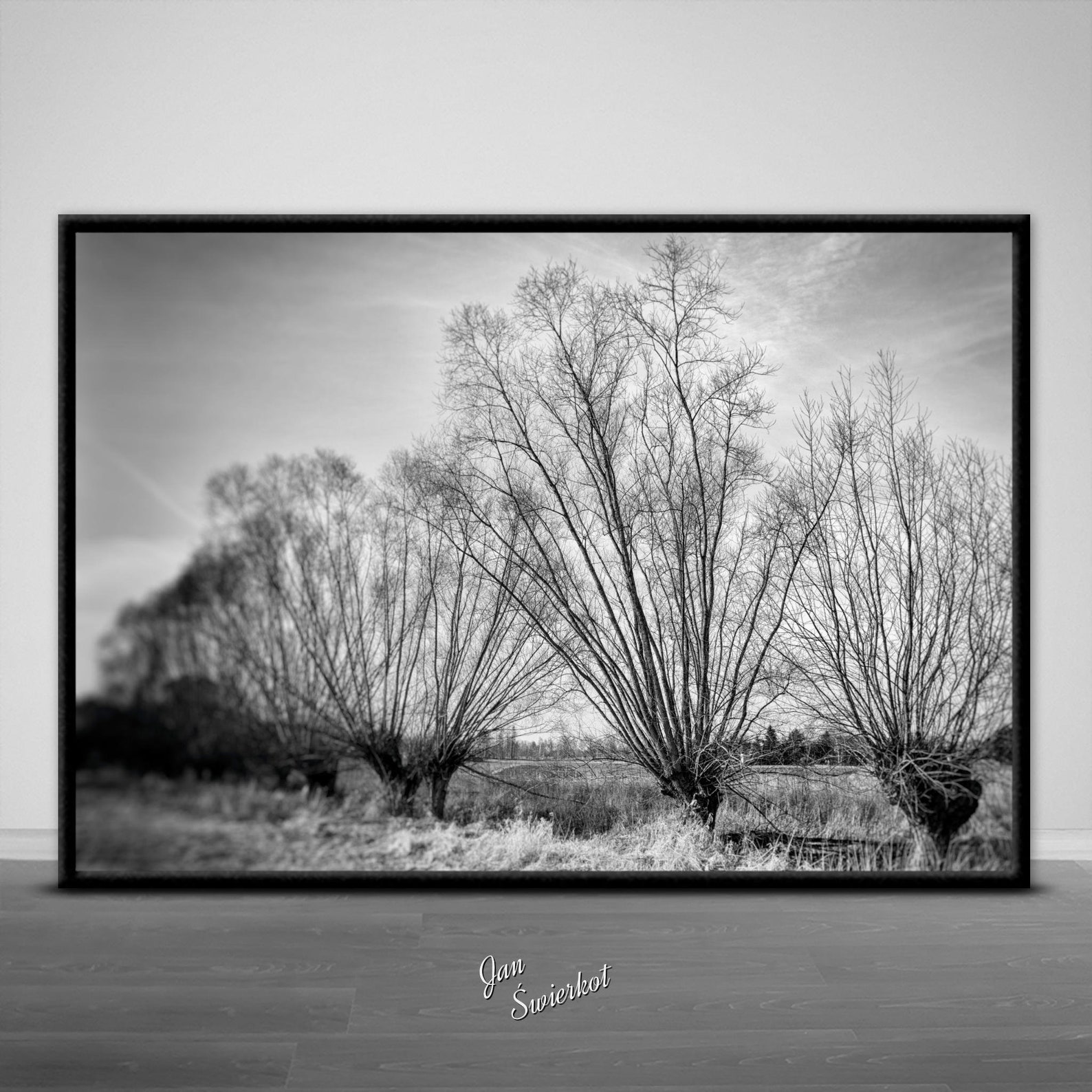 Black and White Nature Photography Digital Download Wall - Etsy