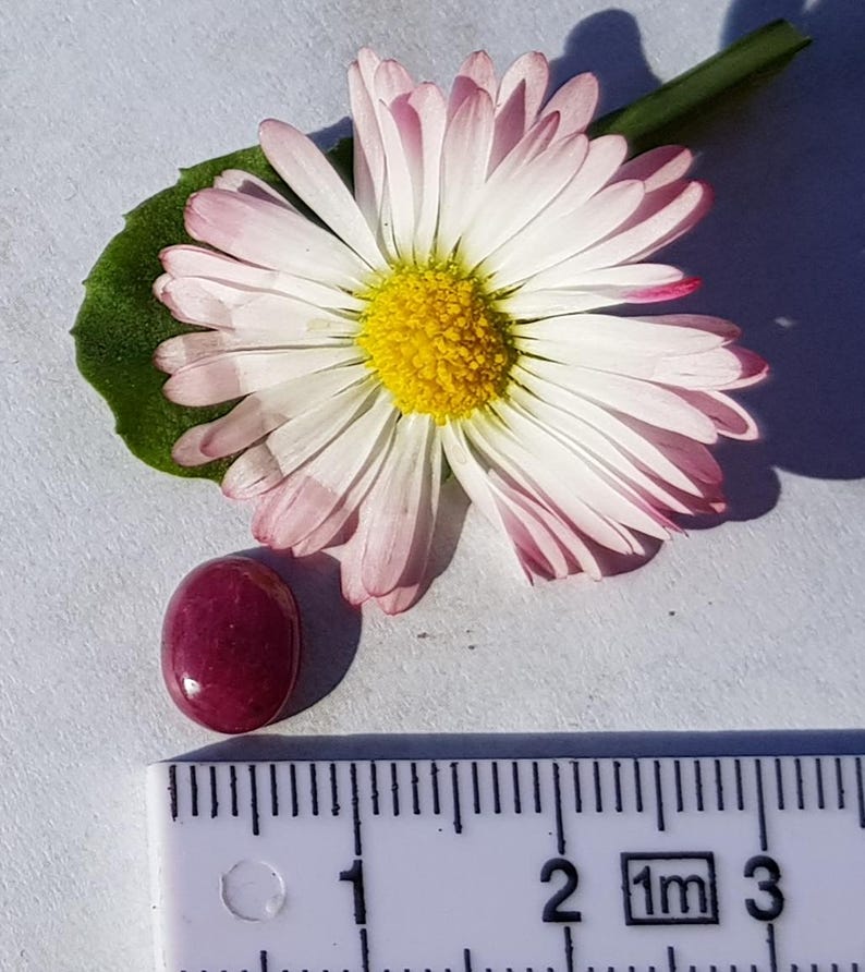 K&ouml;nnte beinhalten: Nahaufnahme eines tief roten, ovalen Edelsteins, der etwa 1 cm lang ist, neben einer wei&szlig;en Margerite mit gelber Mitte und einem gr&uuml;nen Blatt. Im Hintergrund ist ein Lineal mit Zentimetermarkierungen zu sehen.